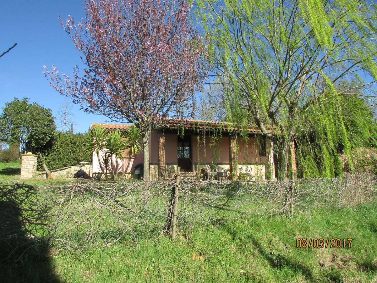 Agriturismo Il Feudo ξενώνας Γκροσέτο Εξωτερικό φωτογραφία
